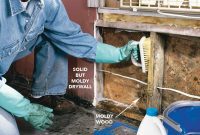 Your 10-Step Guide to Beating Water Damage Mold and Mildew