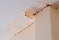 Dealing with Ceiling Water Damage
