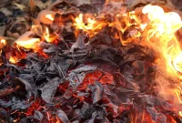 What’s the Law on Burning Leaves?