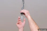 Proper Disposal of Modern Lightbulbs