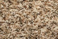 Frieze Carpet: Is It the Right Choice for Your Home?