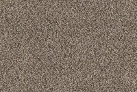 Triexta Carpet The Definitive Guide