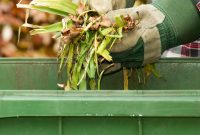 6 Smart Ways to Transform Your Garden Waste