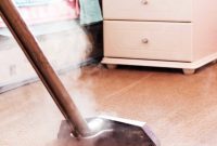 Steam Cleaners Demystified