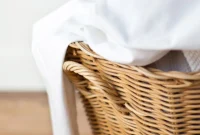 Rescue Your Clothes from Mold and Mildew
