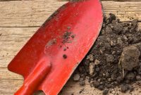 Mastering Topsoil for Garden Success