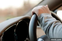 Steering Wheel Wobble Diagnosis Causes and Effective Fixes
