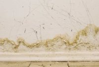 Expert Strategies for Basement Mold Prevention