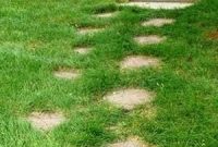 Reimagined Footpaths