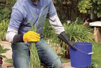 Vinegar Warfare: Winning the Weed Battle