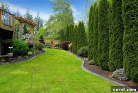 Summer Lawn Survival: Keep Your Grass Green