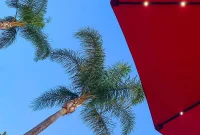 Solar Umbrellas: A Comprehensive Guide
