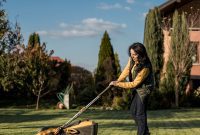 Making Your Push Mower Decision This Year