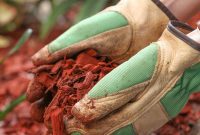 Maximizing Mulch Benefits: Your Replacement Schedule Revealed