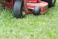 Cut Through the Confusion: Choosing Your Zero Turn Mower
