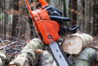 How to Choose the Right Chainsaw
