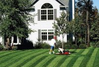 The Essential Guide to Turf Grass