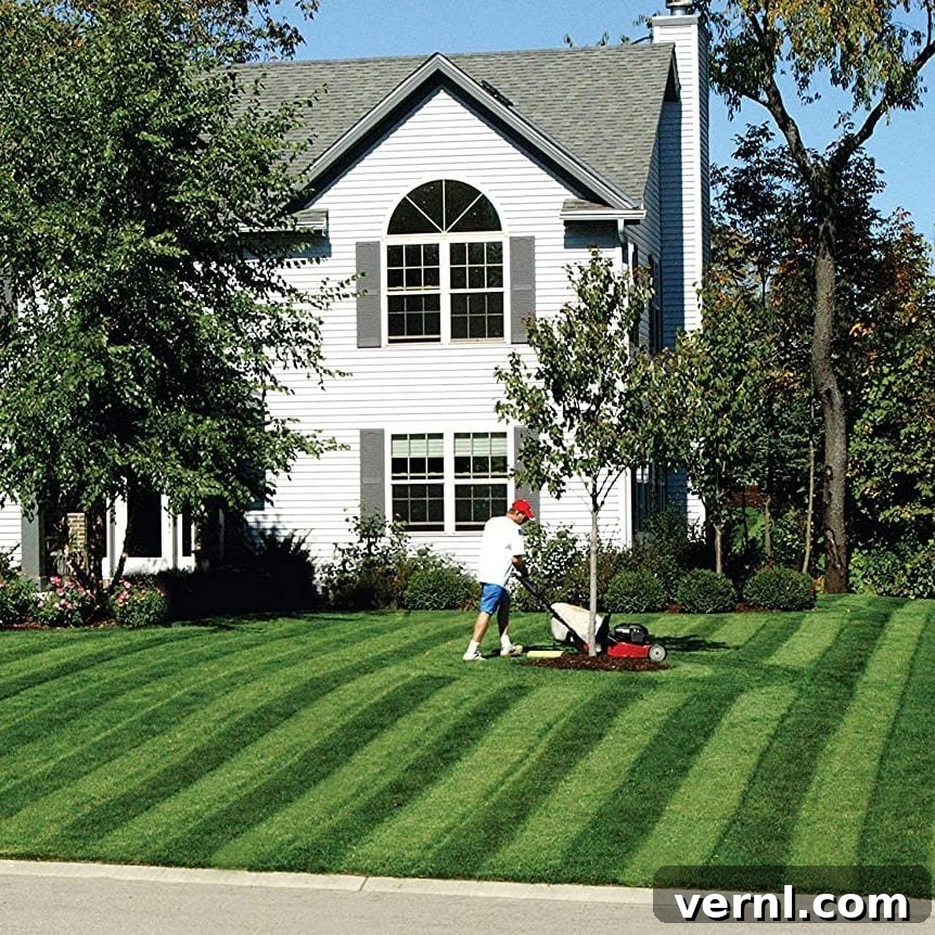 featured 362501