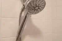 Is the Moen Attract Shower Head Worth It