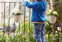 Optimal Watering Times for Thriving Plants