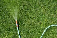 Optimal Lawn Watering Times