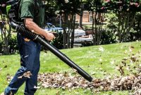 Choosing Your Ideal Leaf Blower