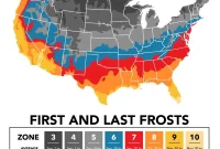 Your Local First Frost Date