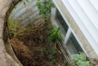 Basement Window Well Covers: Essential Knowledge for Homeowners