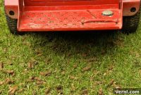 Breathe New Life Into Your Lawn The Aeration Guide