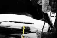Essential Winter Engine Oil Guide