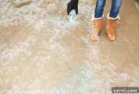 Ice Melt vs. Rock Salt: Choosing the Right Winter Solution