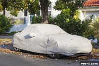 5 Pitfalls of Parking Your Car For Weeks Plus Prevention Strategies