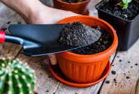 Don’t Toss It: Your Guide to Reusing Potting Soil