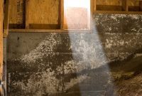 Crawlspace Essentials: Your Guide to the Underside of Your Home