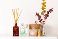 Beyond Scents The Right Air Freshener for Every Odor