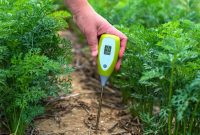 Optimizing Soil pH for Thriving Plants