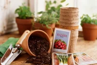 Discover the Best Garden Seed Retailers