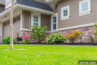 Your Guide to Identifying 21 Top Grasses