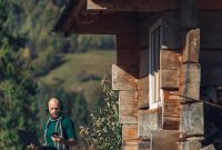 Stay Connected: 4 Internet Solutions for Your Off-Grid Cabin