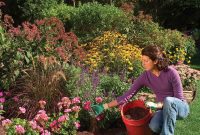 Mulch Mastery: Your Complete Landscaping Guide