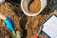 Unlock Your Soil’s Secrets: A Guide to Testing