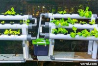 The Essential Guide to Hydroponic Gardening