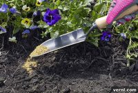 Unlock Vibrant Flowers: Bone Meal Fertilizing Techniques