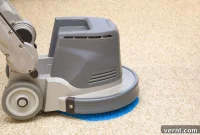 DIY vs. Professional Carpet Cleaning: Which Is Best?