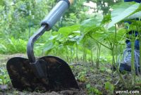 Mastering Your Garden Picking the Right Hoe