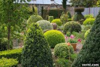 Grow Gorgeous Shrubs: Essential Tips for Homeowners