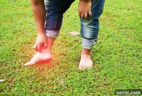 Ant Bites Your Essential Handbook