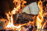 What’s the Ideal Drying Time for Firewood?