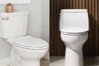 One-Piece or Two-Piece Toilet: Making the Right Choice for Your Bathroom