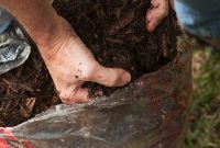 Winter Mulching: Essential or Optional?